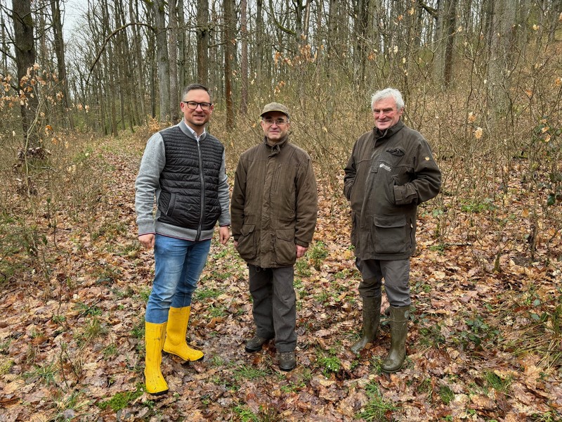 Waldbegehung mit Vertretern des Ökologischen Jagdverbands. Foto: Sandra Belatschek/ Büro Stieglitz